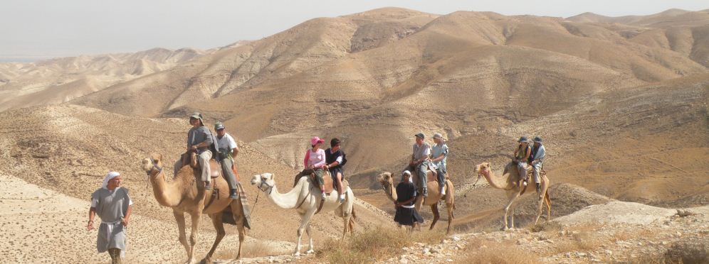 טיולים על גבי גמלים לאורך מצוק נחל פרת. לרגלי המטיילים פרוש נוף הנחל