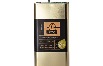 פח 5 ליטר פישולין.jpg