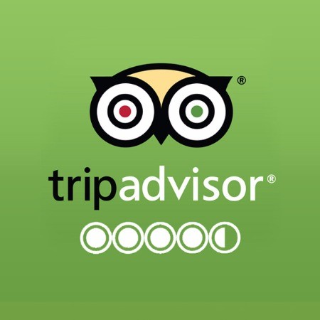 Tripadvisor genesisland testemonials